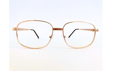 Men frame  Parade 1622 Color gold 54-17-145