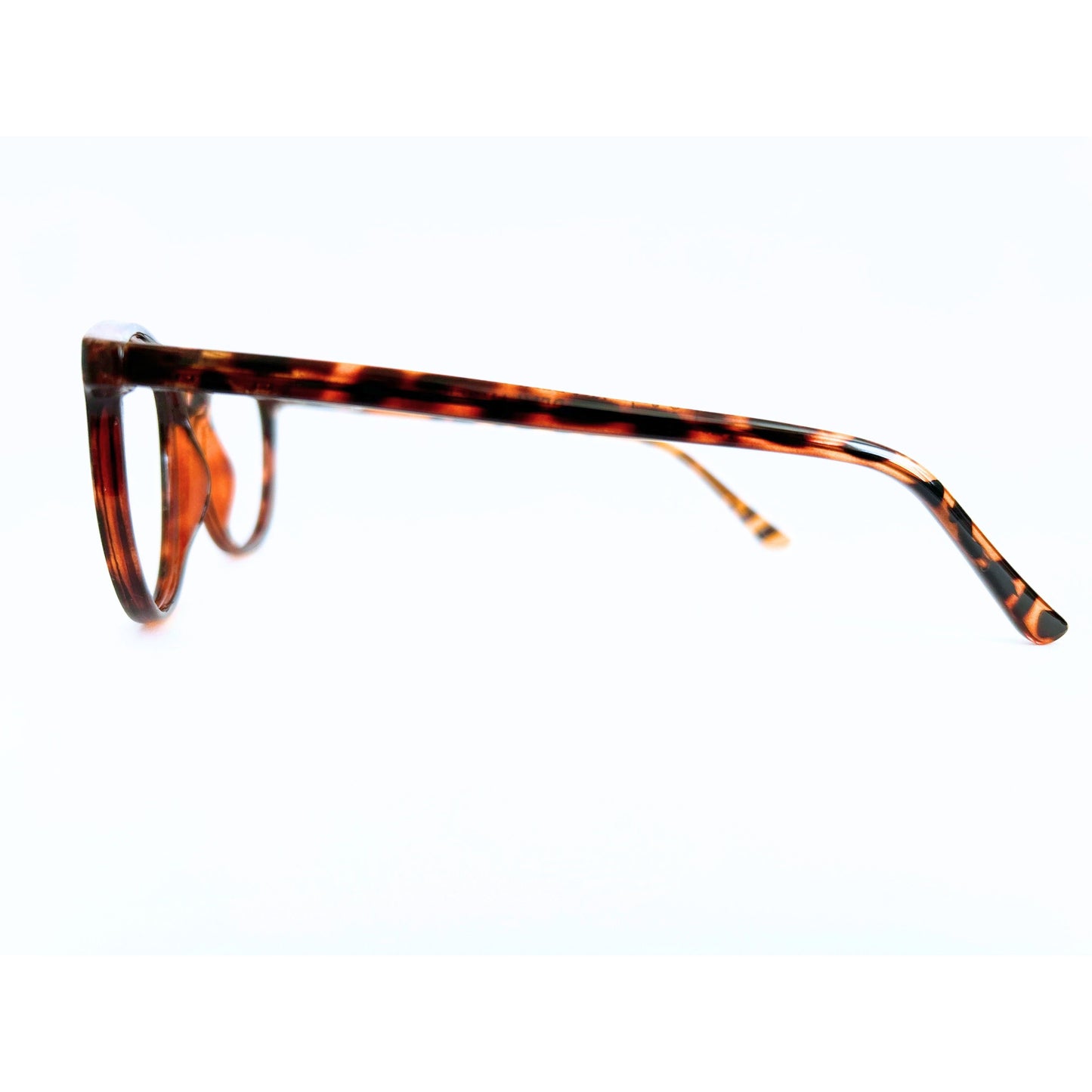 Men Plastic Frame Parade 1765 Demi Amber 49-20-145